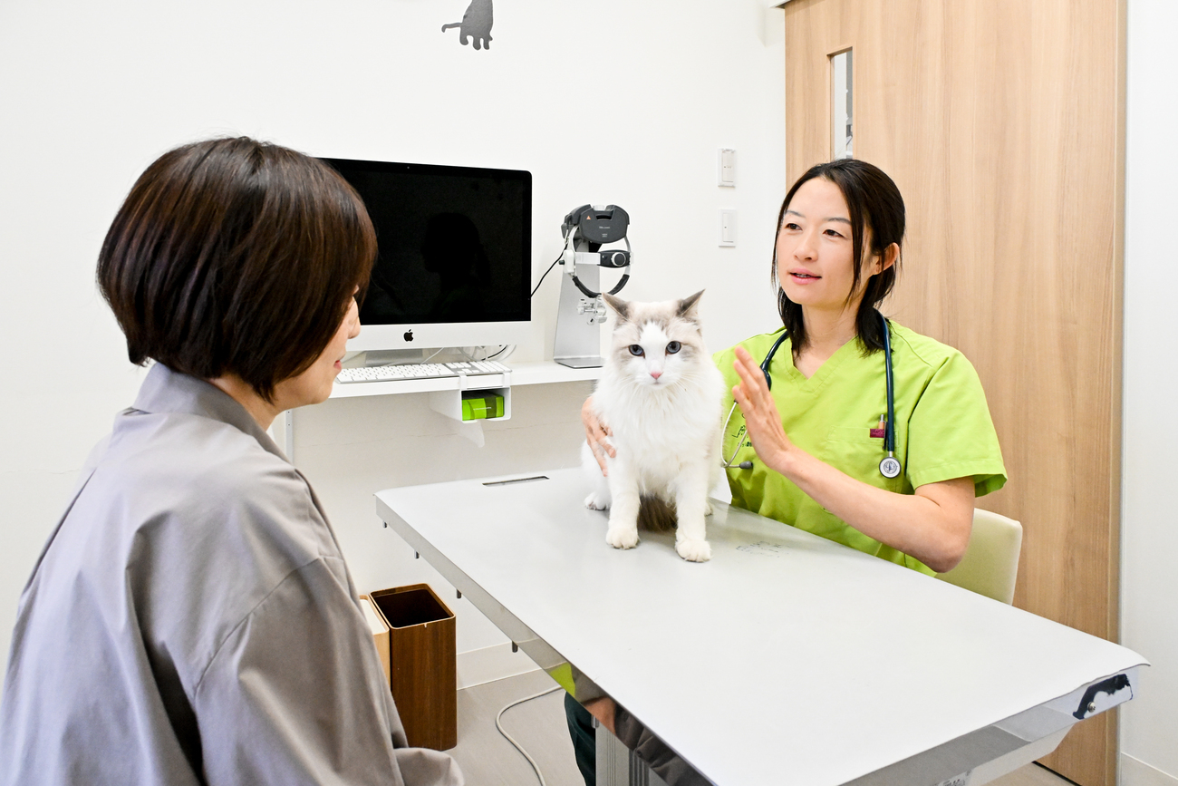 予防医療