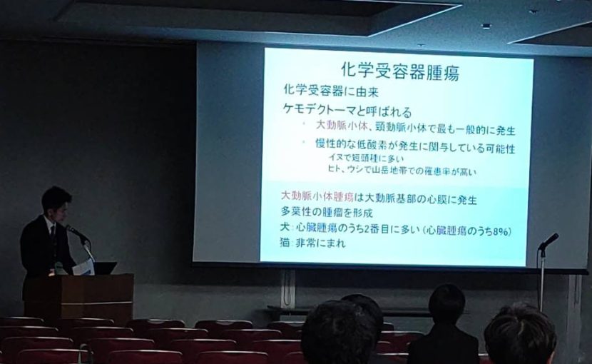 学会発表をしてきました