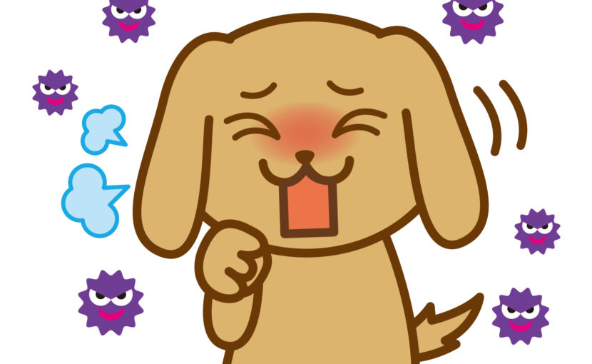 子犬の咳、それケンネルコフかもしれません
