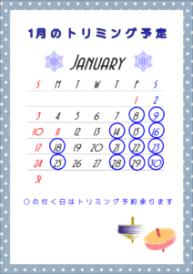 1月トリム