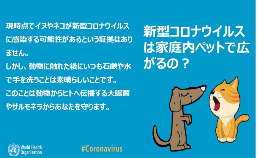新型コロナウイルス ペットへの影響 ポックル動物病院 札幌市手稲区 犬 猫 小動物