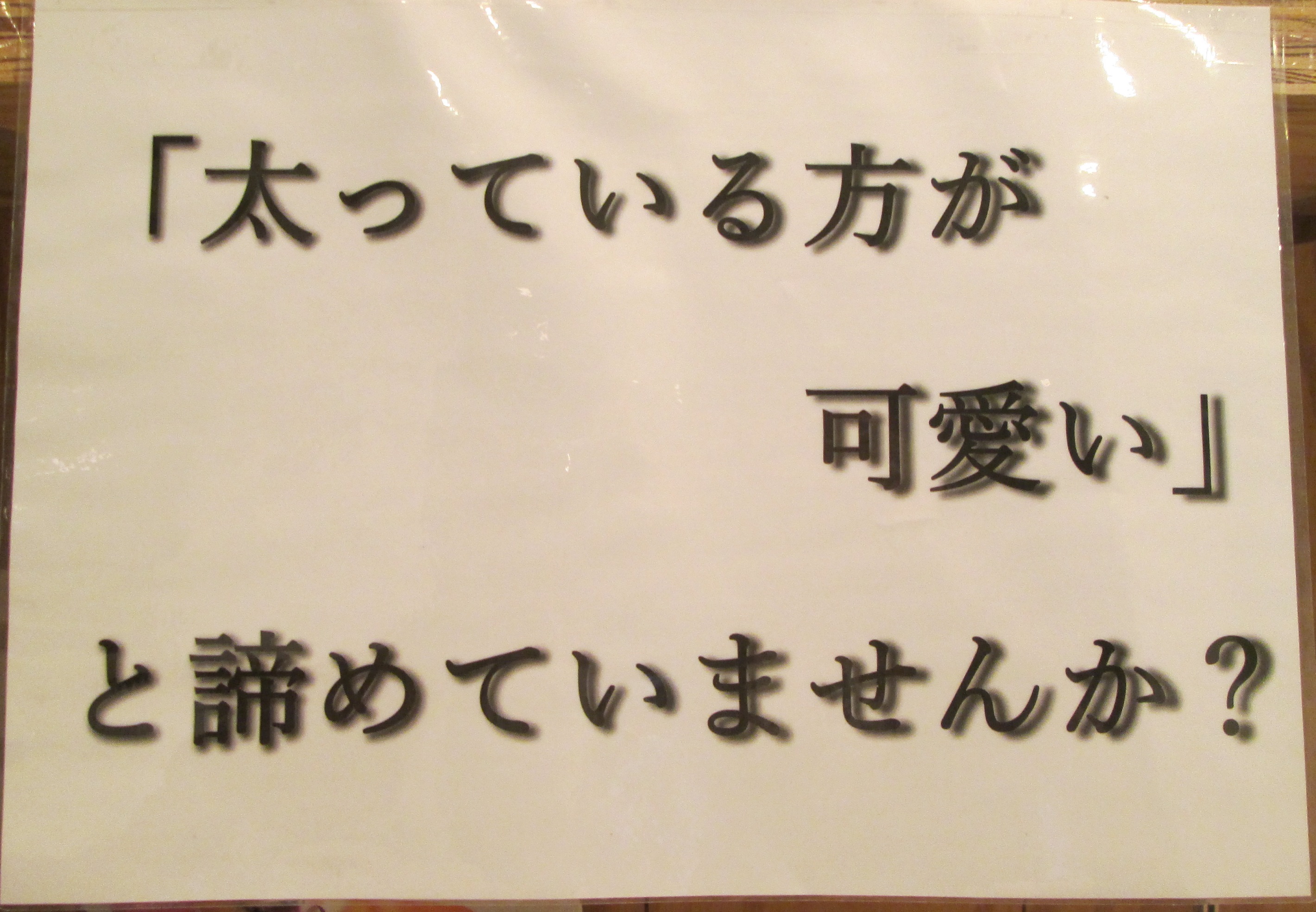 太っている方が可愛い と諦めていませんか ポックル動物病院 札幌市手稲区 犬 猫 小動物