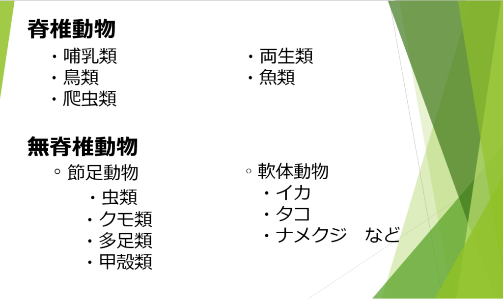 動物の分類について ポックル動物病院 札幌市手稲区 犬 猫 小動物