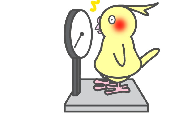 小鳥さんの健康診断、受けませんか？