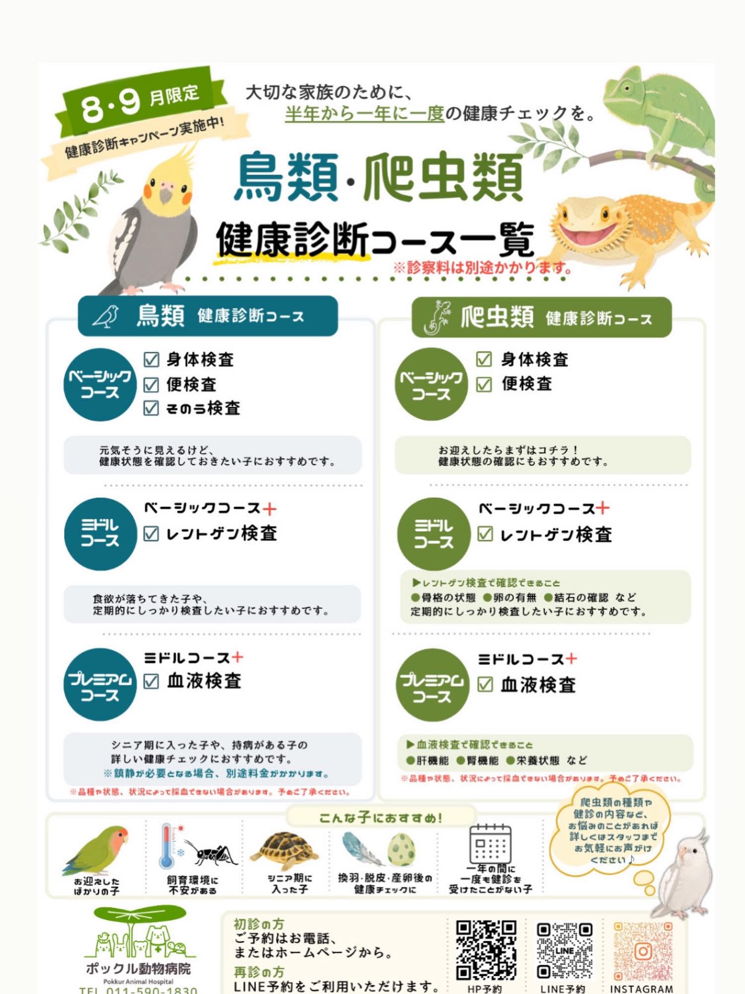 鳥さん・爬虫類さんの健康診断キャンペーン始まりました！！