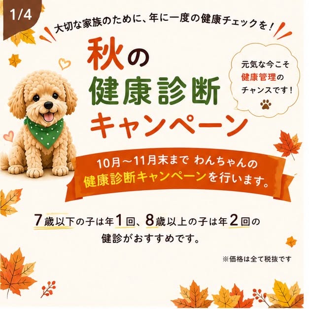 秋の健康診断キャンペーンが始まります
