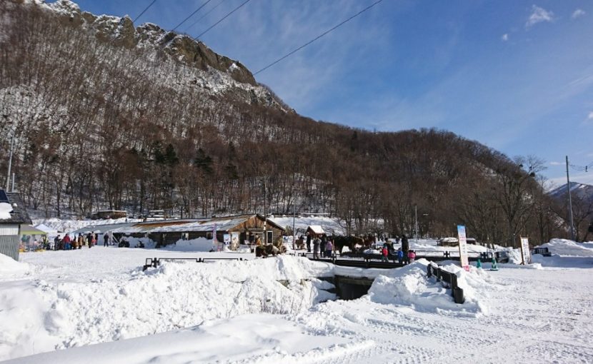 雪と動物と戯れてきました☆