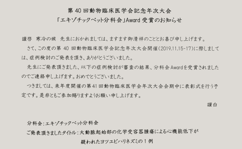 学会でアワードを頂きました！