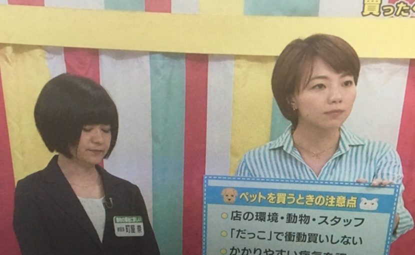 ペットをお迎えする前でもご来院下さい!