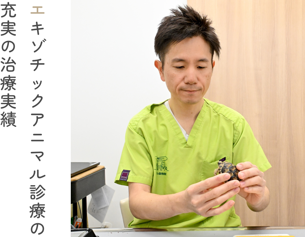 エキゾチックアニマル診療の充実の治療実績