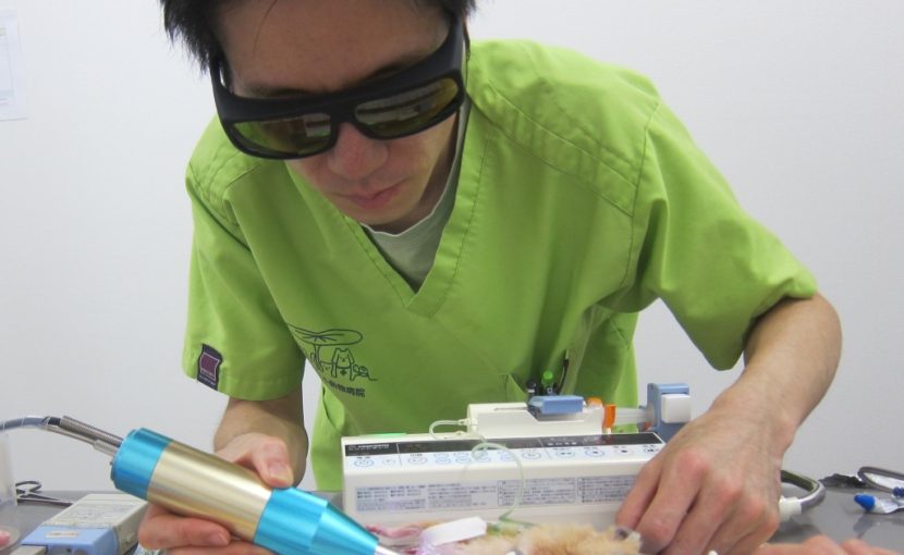 半導体レーザー、始めました。