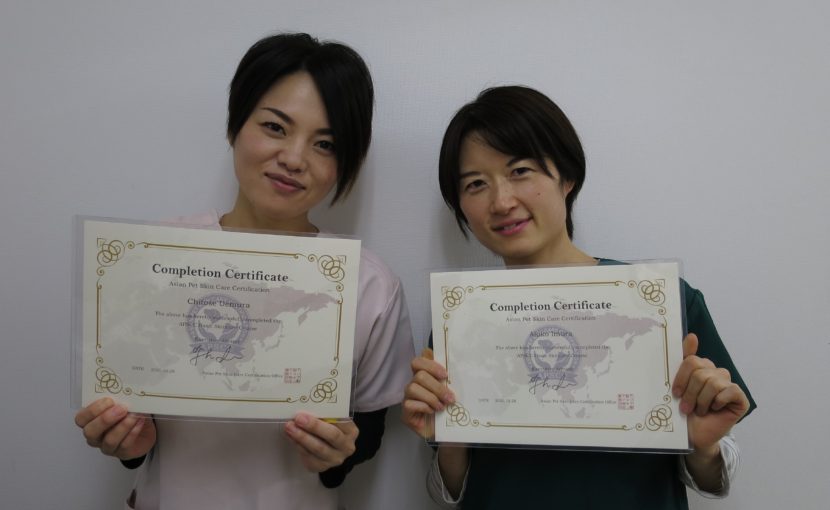 アジア動物スキンケア検定修了のご報告