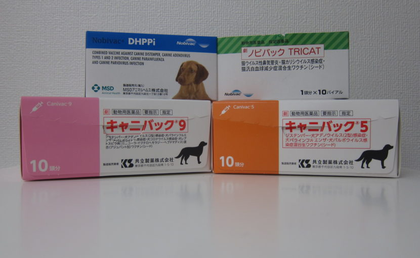 ワンちゃんの混合ワクチンって必要?