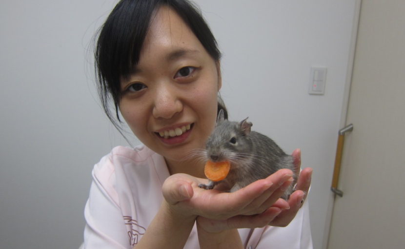 初めまして！看護師の阿部です！