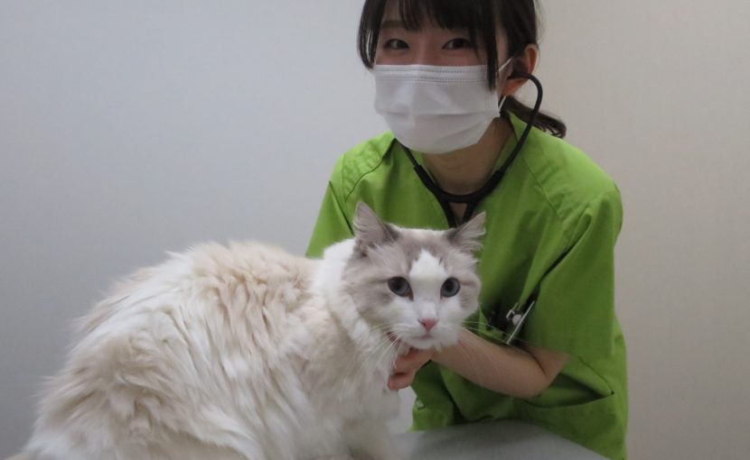 はじめまして、獣医師の小島です!