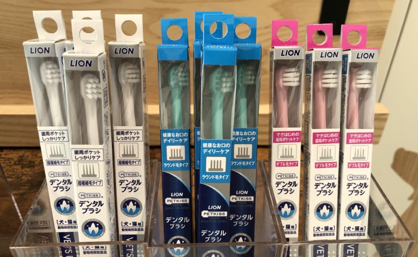 歯周病になる原因とは？デンタル製品紹介①