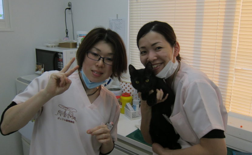 動物看護師になるには？