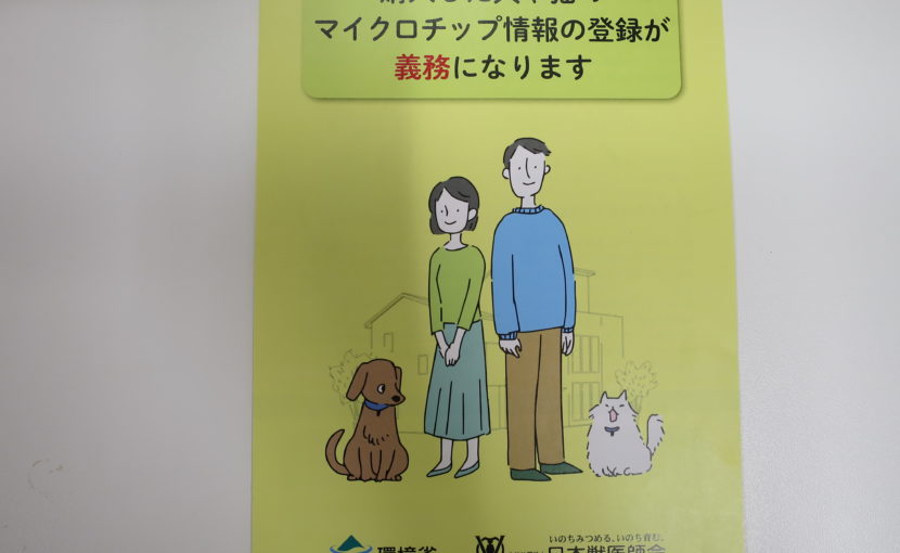マイクロチップ登録制度が変わりました