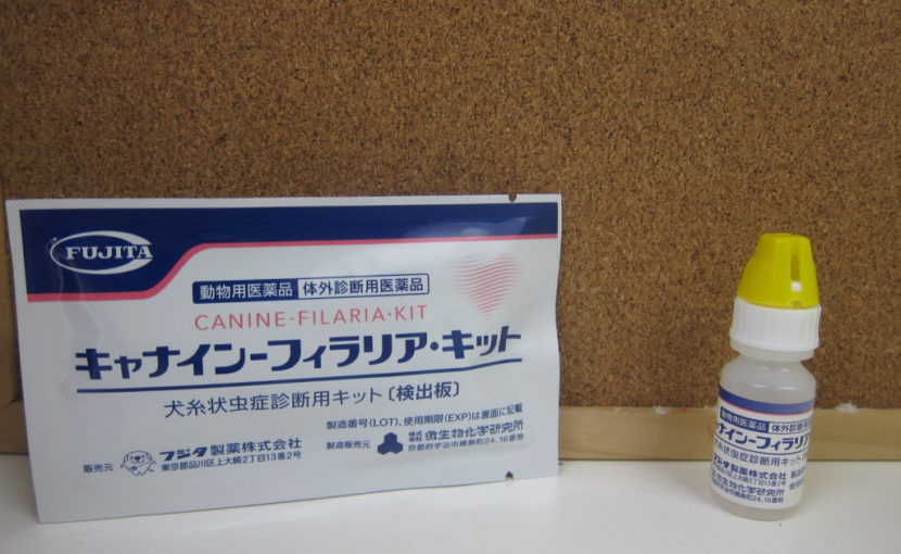 フィラリア症ってどんな病気?