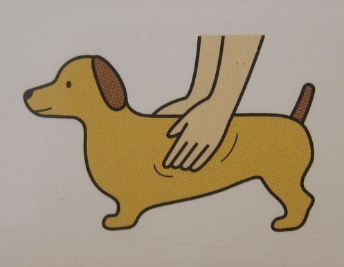 人も動物も？正月太りにご用心！