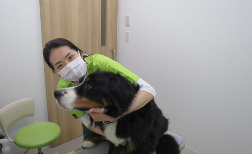 初めまして、獣医師の中村です