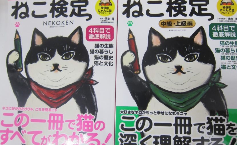 戌年ですが・・・