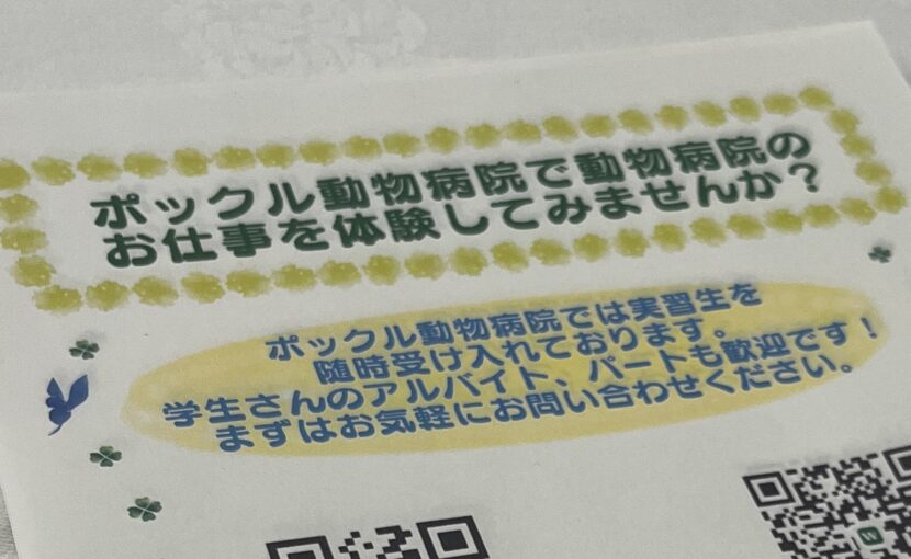 専門学生のPRイベントに参加して来ました!