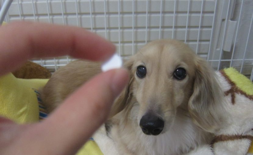 うちのコ風邪かな?と思っても・・・