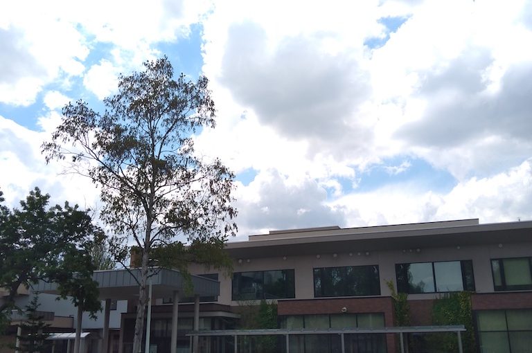 北海道大学さんでの診察