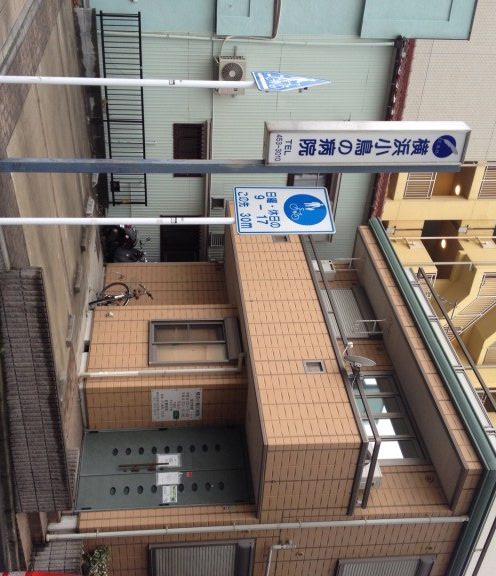 小鳥の病院を見学させて頂きました