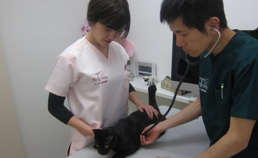 初めまして、看護師の加藤です。