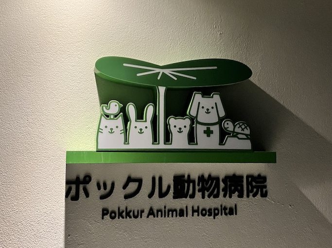 2023年明けましておめでとうございます