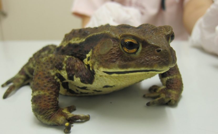 当院初の患者さん