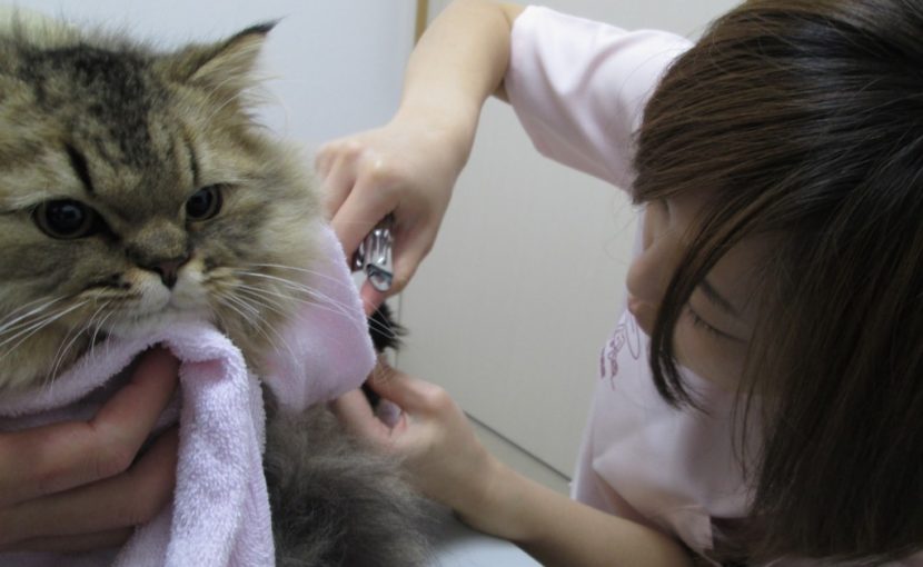 たかが爪切り、されど爪切り
