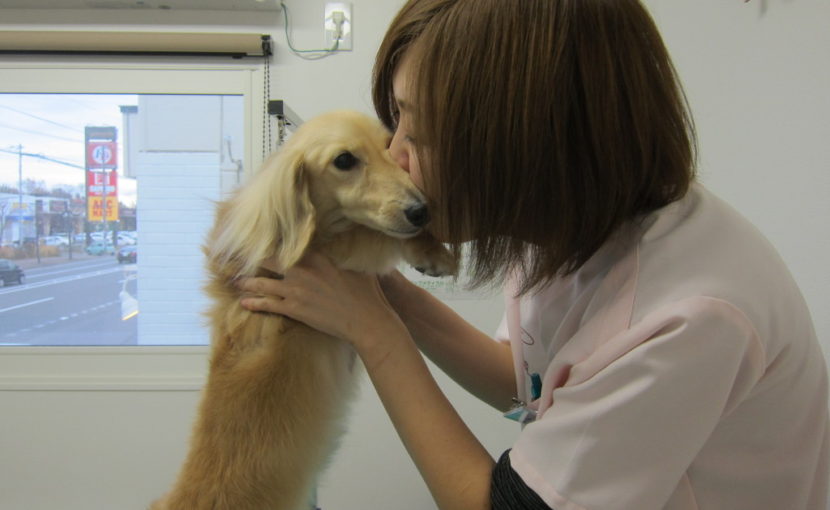 たかが肛門腺、されど肛門腺