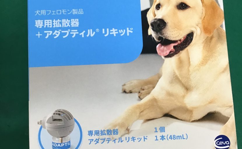 わんちゃんのストレス対策