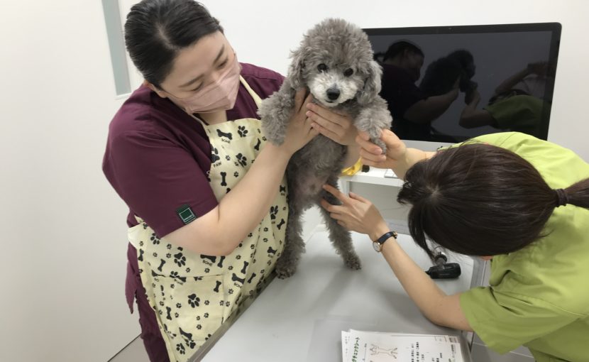 メディカルトリミングとは…？