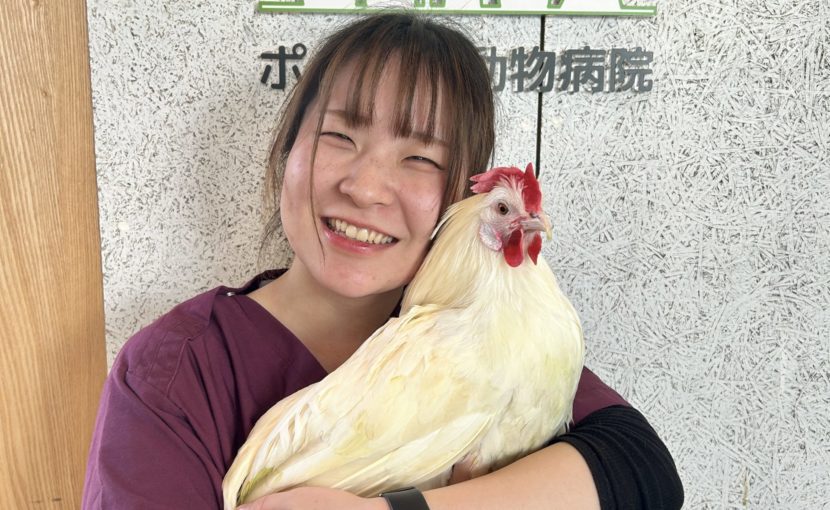 初めまして。愛玩動物看護師の澤田です!