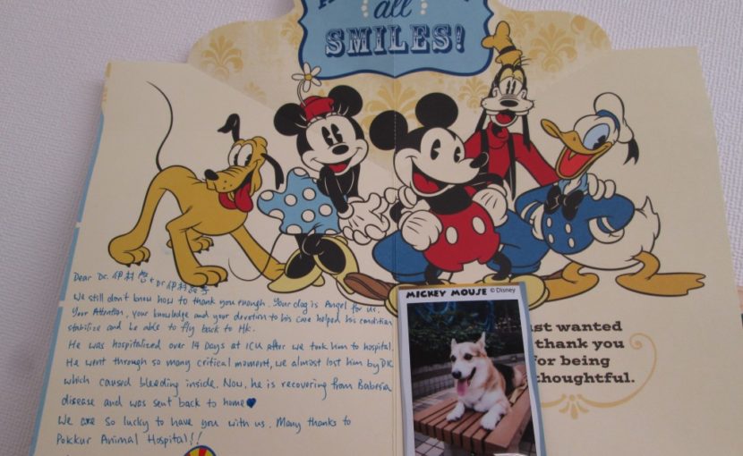 Love letter from HONG KONG