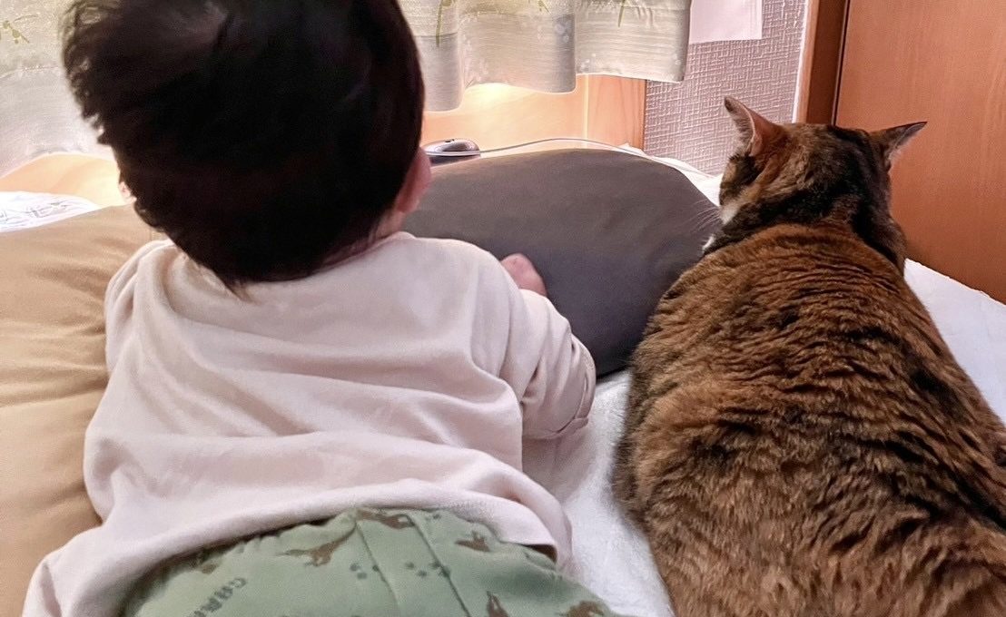 猫と赤ちゃんの健康のために