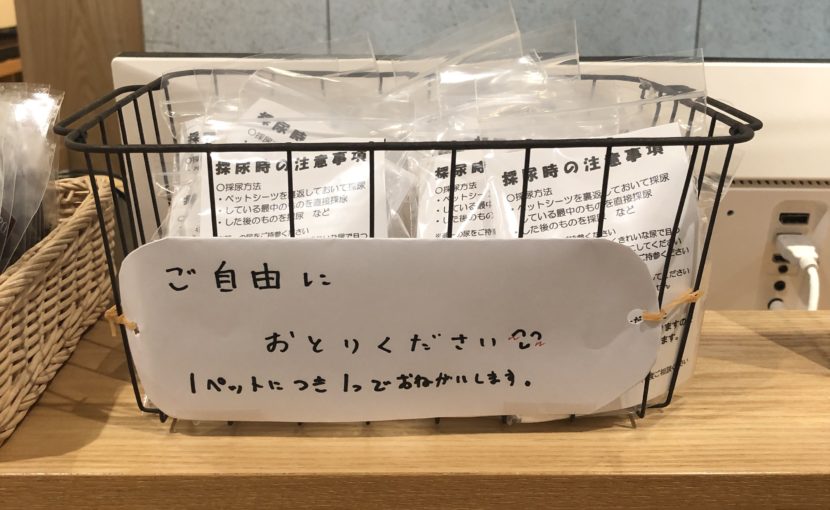 寒い時期は尿をチェック!!