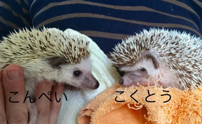 イベント開催します☆