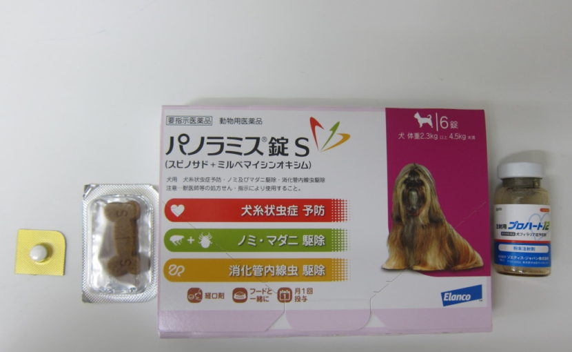 今さら聞けないフィラリアのお話