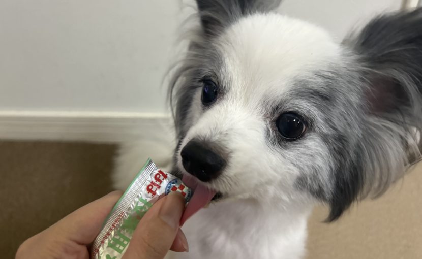 ちゅ~る、ちゅ~る♪