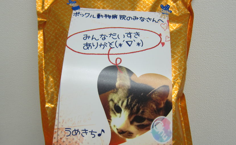 うめきちくん闘病記