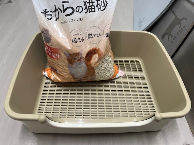 猫と暮らす②