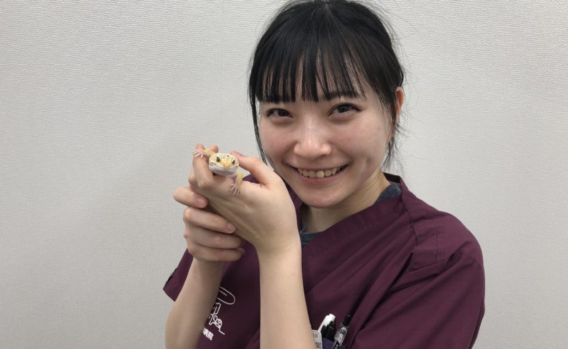 初めまして。愛玩動物看護師の三瓶です！