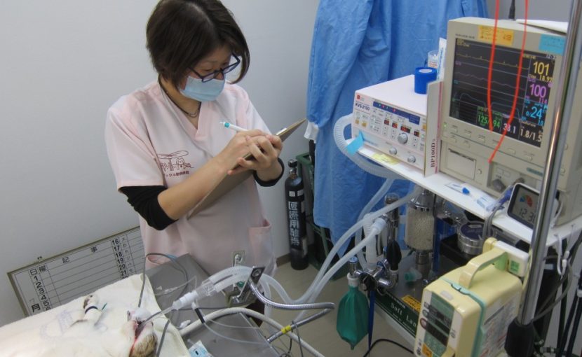 はじめまして、看護師の鉢呂です
