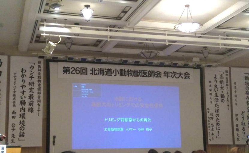 北小獣年次大会2018看護師セミナーに参加して