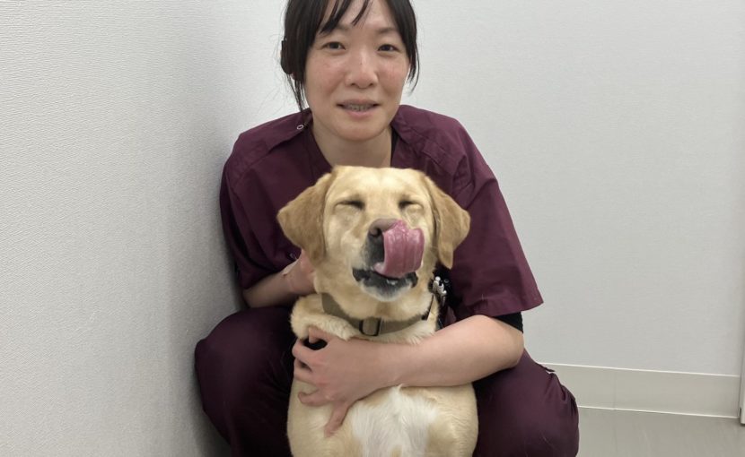 はじめまして、スタッフの内山です！
